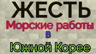 Тяжёлая работа в море в Южной Корее