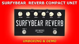 SURFYBEAR Spring Reverb COMPACT Unit • Unboxing & Demo