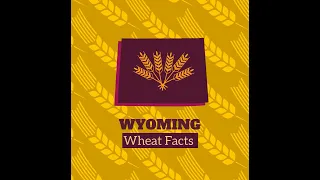 Wyoming Wheat Facts