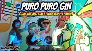 Puro Puro Gin (Long Live Ang Atay) - TikTok Budots Hataw | Dj Sandy Remix