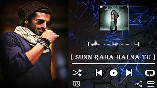 Sunn Raha Hai Na Tu Aashiqui 2 Full Audio | Aditya Roy Kapur, Shraddha Kapoor | DIL SE PLAY