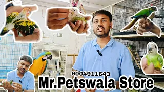 stock update @mr.petswala  #exotic #birds #exotic #parrot #exotic #pets #borivali