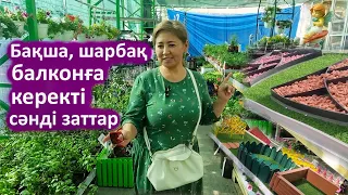 Мәә мында бәрі бар. Огород,шарбаққа керекті сәнді заттар бағасы.  Шарбақтың сәні