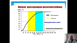 Физиология дыхания