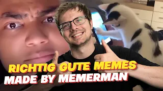 Es GIBT einen KATZENÜBERSETZER! Reaktion auf memes I stole from Florida Man 🦸‍♂️