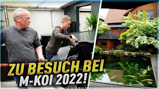 Zu Besuch bei M-Koi 2022 !