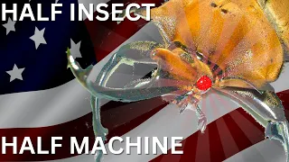 When the US Military Made Cyborg Beetles