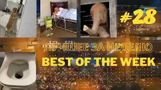 Best of the Week - Лучшее за Неделю #28 Самые смешные видео, фейлы и лучшие приколы тикток 2022
