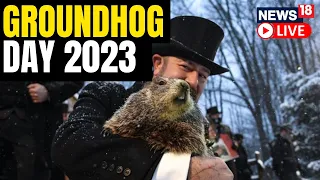 Groundhog Day 2023: Phil The Groundhog Says Winter Will Last For Six More Weeks | USA News Live