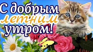 С Добрым Утром! Желаю Счастья В Вашей Жизни! Музыка Сергей Чекалин! Музыкальная Открытка Пожелание!