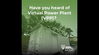 Have you heard of Virtual Power Plant (VPP)?