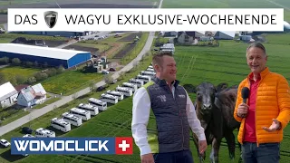 MORELO meets Wagyu. Rückblick auf das exklusive Treffen in Oberdachstetten