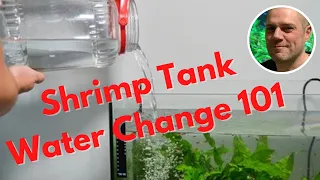 Shrimp Tank Water Change Tips - A MUST FOR A HEALTHY SHRIMP TANK