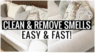 How to CLEAN COUCH and REMOVE ODORS!! Dog, Pet, Smoke (CHEAP & SO EASY!!! ) | Andrea Jean Cleaning