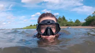 Stand Up Paddle Board Review Turns Into an Underwater Adventure 🐠