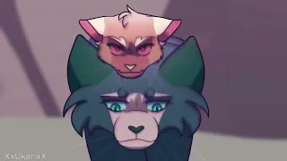 warrior cats animash - beat it