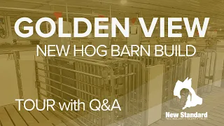 Golden View Hog Barn Tour with Barn Manager - Walk Through a Modern Pig Barn for up to 2,400 head.