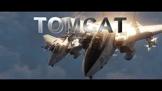 DCS World Movie: TOMCAT LOVE!