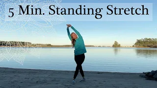 5 MINUTE STANDING YOGA STRETCH - No Mat Gentle Yoga