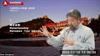 实用拳法闪通背 Flash the Back - Chen Style Taijiquan Practical Method