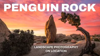 Photographing Penguin Rock in Joshua Tree National Park | Landscape Photography On Location