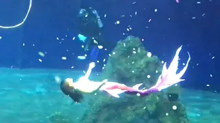 2023/花蓮/遠雄/海洋公園，美人魚