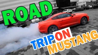 Ford Mustang по трассе. Как он? Реальный отзыв.