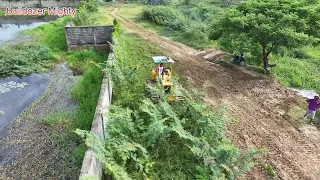 Full Video! Operating Filling up land huge, Bulldozer Land clearing, Dozer Push The Trees