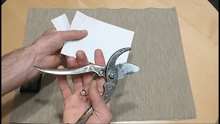 How a horticultural/garden scissors for fruit trees or grapevines should cut