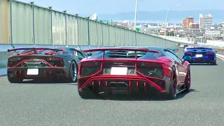 【LOUD】Aventador crazy exhaust sounds. [Acceleration sounds.]