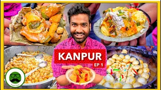 Birhana Road Kanpur Street Food | Shukla Makkhan, Pappu Samosa & More | Veggie Paaji