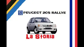 Peugeot 205 Rallye :     La Storia