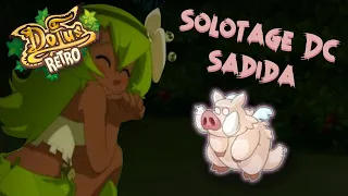 DOFUS RETRO - Solo Dragon Cochon - Sadida