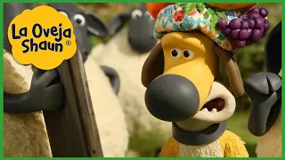 La Oveja Shaun 🐑 sombrero de fruta 🐑 Dibujos animados para niños