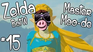 Zelda: Breath of the Wild (Master Mode) #15 [Stream Reupload]