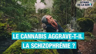 🌱 Lien entre CANNABIS et schizophrénie ? - Allo Docteurs