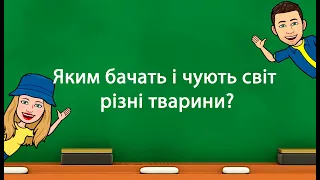 Яким бачать і чують світ різні тварини? (5 клас «Природничі науки» НУШ)