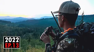 BRUIN PARADISE - Crazy Day of Hunting (Fall Bear Hunting) | 2022 Hunting Season EP.13