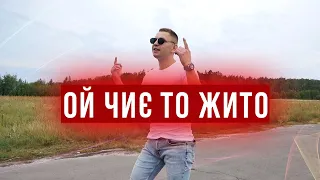 Ой чиє то жито