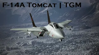 F-14A Tomcat | Top Gun - Maverick DLC (Ace Combat 7 Skies Unknown)