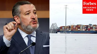 'The Lights Were Turning On And Off': Ted Cruz Asks NTSB Chair About Boat That Crashed Into Bridge