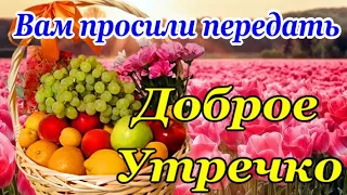 С Добрым Утром! Хорошего дня ☕🌹Красивейшие Пожелания Доброго Утра и Здоровья!