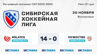 Первенство СХЛ. "Rolatex" - "Мужество" . ЛДС "Бердск" . 20 ноября 2022 г.