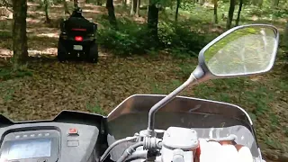 AM DAT DE O CASĂ PĂRĂSITĂ ÎN PĂDURE‼️ ATV CF MOTO ❌ LINHAI M550L