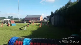 Agility competition Oakley Hobby Dog Rocourt 2019