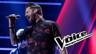 Stig Gustu Larsen – Sign Of The Times | Knockouts | The Voice Norge 2019