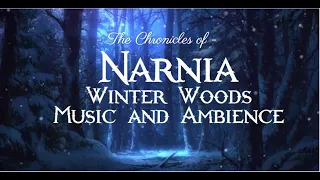 Chronicles of Narnia | Winter Woods Music & Ambience - Calming Music with Sounds of Winter