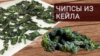 Quick & Tasty Kale Chips: Transform Your Snacking in Just 15 Minutes | Del Norte Kitchen