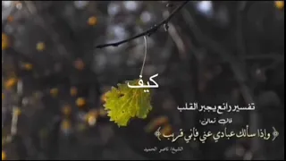 كيف تدعو الله بيقين الإستجابة الشيخ / ناصر الحميد 💚🙏🏻