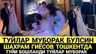 ШАХРАМ ГИЁСОВ ТОШКЕНТДА ТУЙИ БОШЛАНДИ ТУЙЛАР МУБОРАК